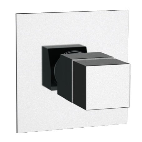 Wall-Mounted Built-In Thermostatic Mixer, Rough-In Valve Included Remer QT30US